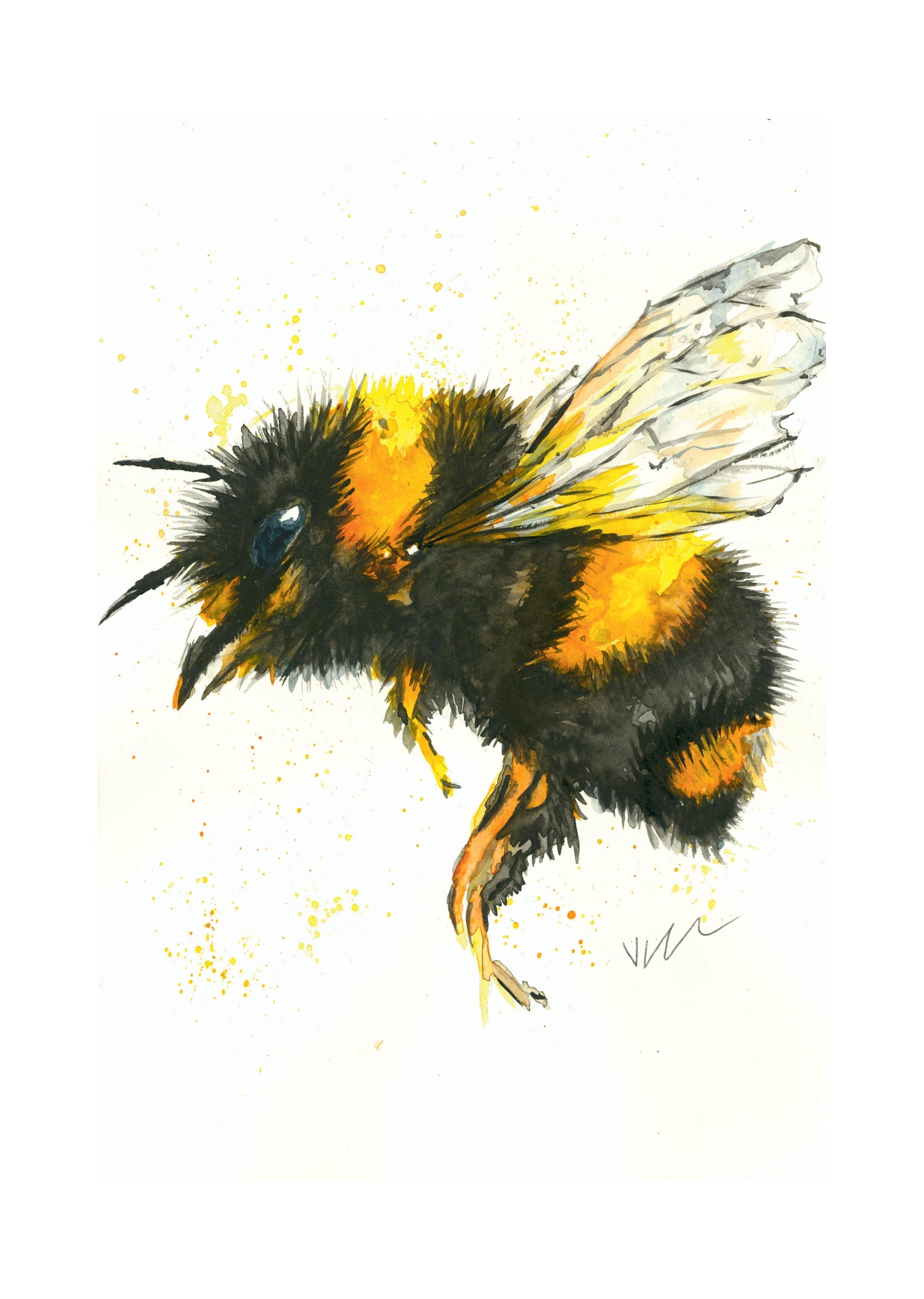 Betty Bee Watercolour