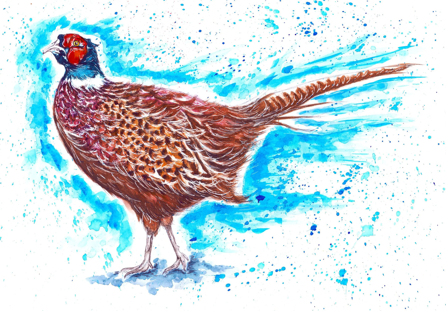 Patrick the Pheasant