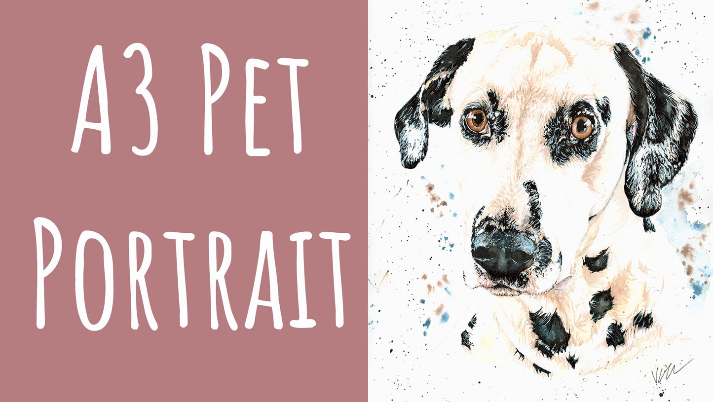 Pet Portraits Victoria Gordon Art