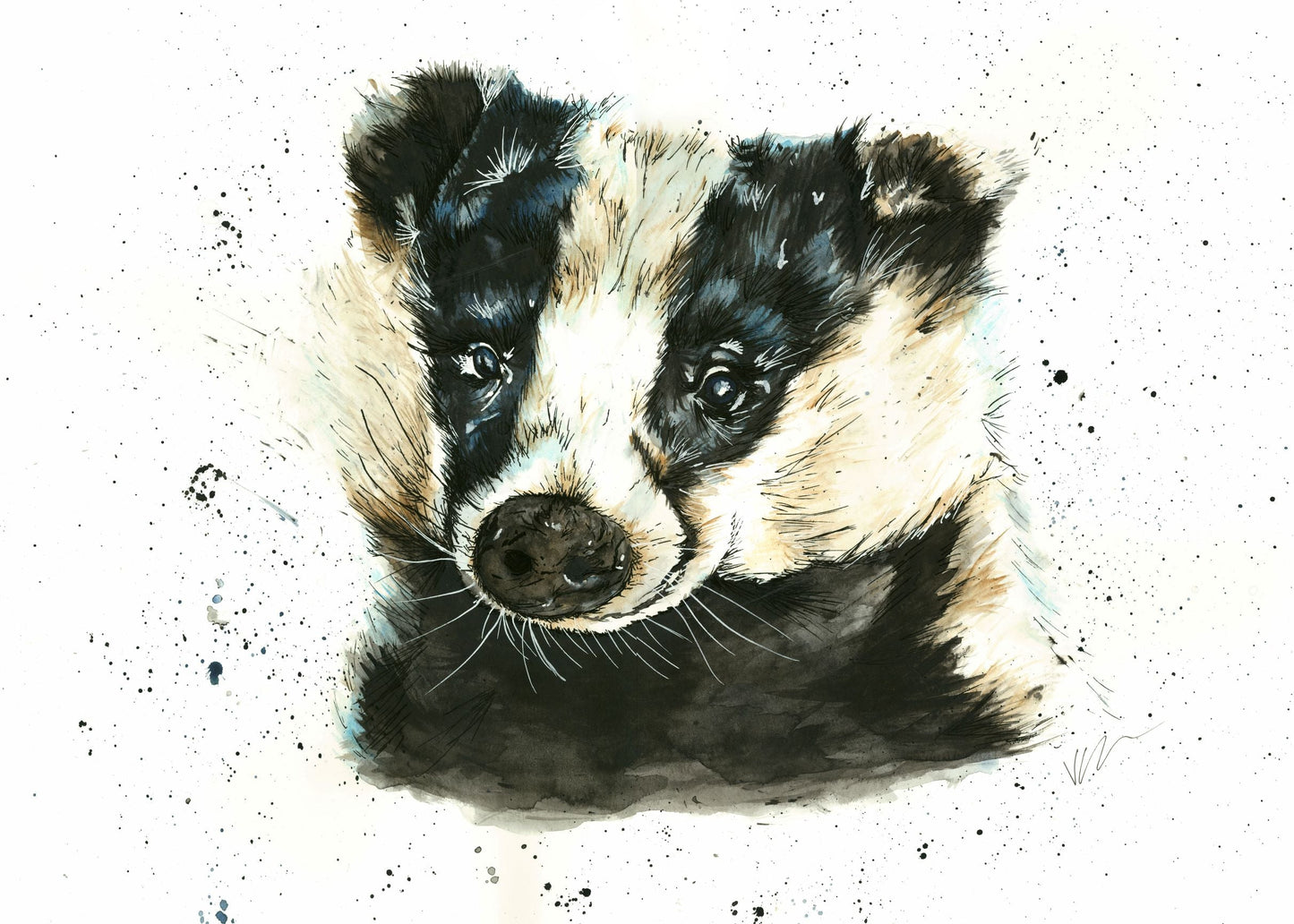 Limited Edition Print Cedric the Badger Victoria Gordon Art