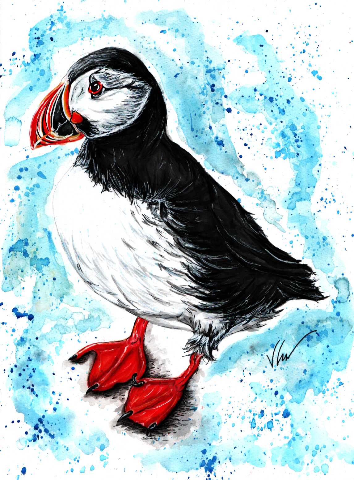 Piper the Puffin Print Victoria Gordon Art Trade