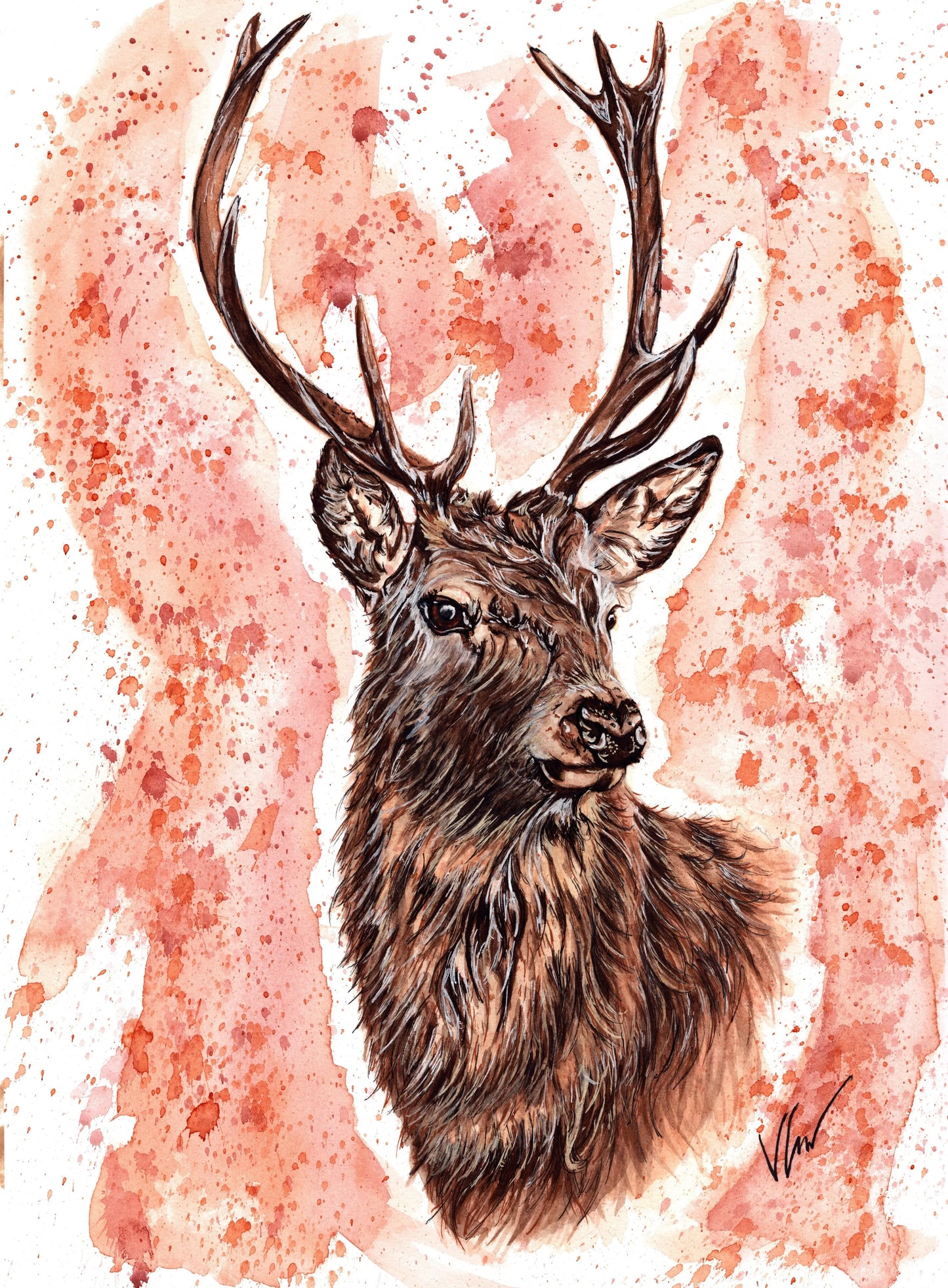 Stephen the Stag Print Victoria Gordon Art Trade