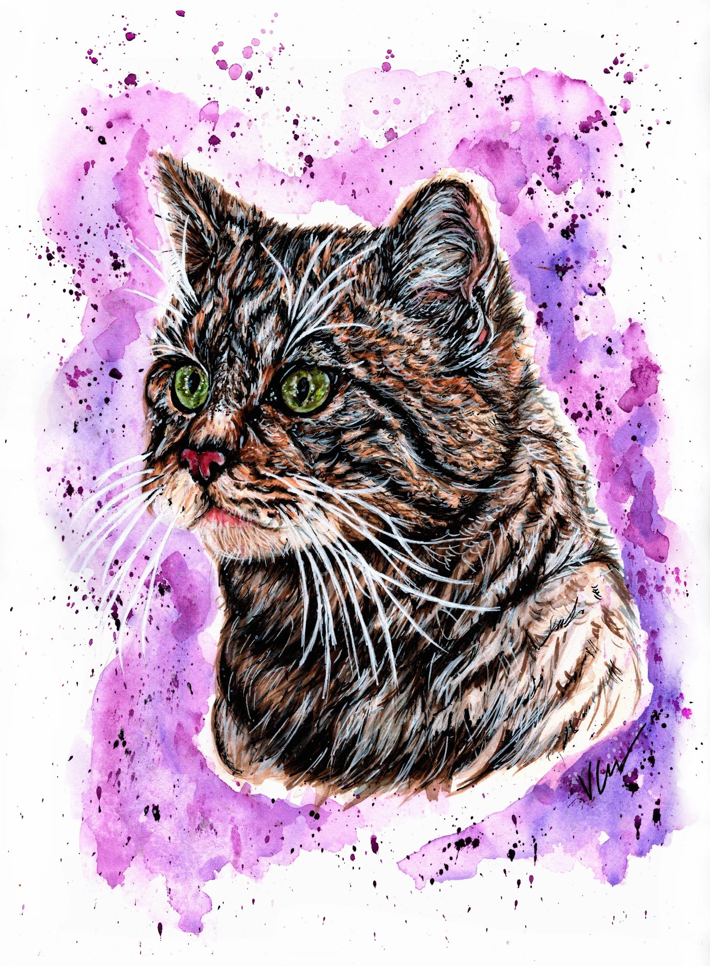 Skye The Scottish Wildcat Print Victoria Gordon Art Trade