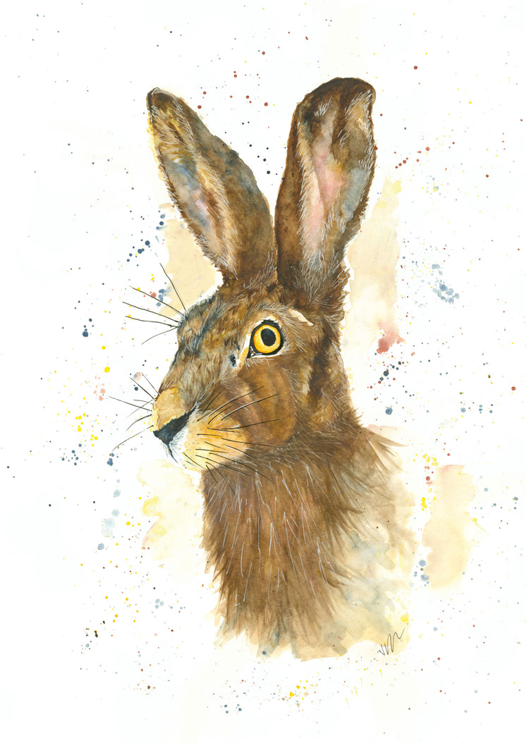 Harriet The Hare