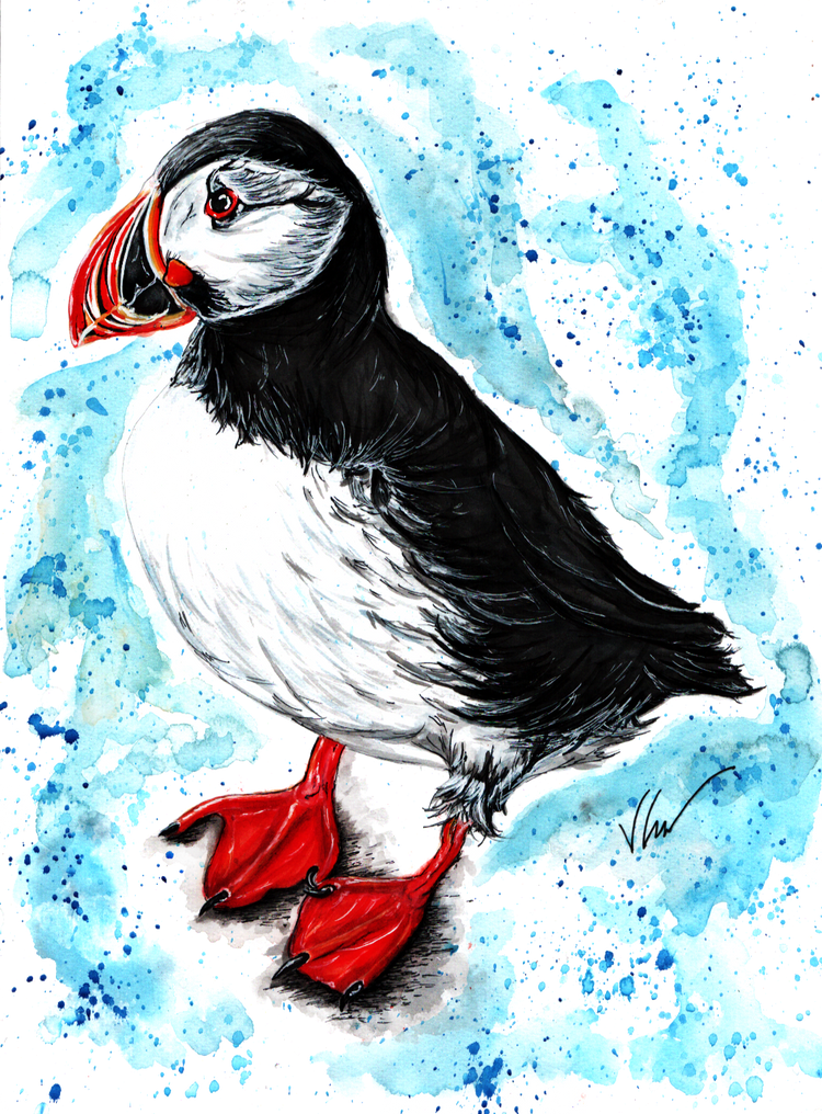 Piper the Puffin