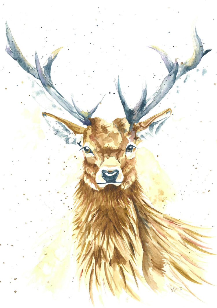 Stuart The Stag