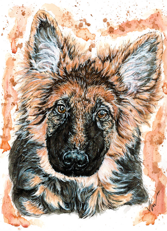 German Shepherd Puppy Portrait