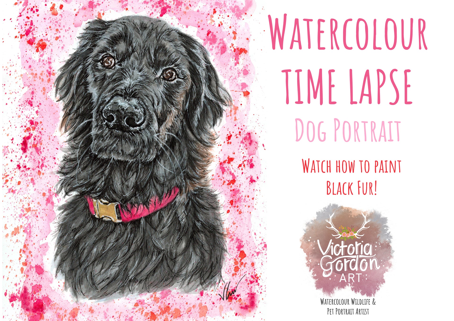 Load video: Pet Portrait Time Lapse