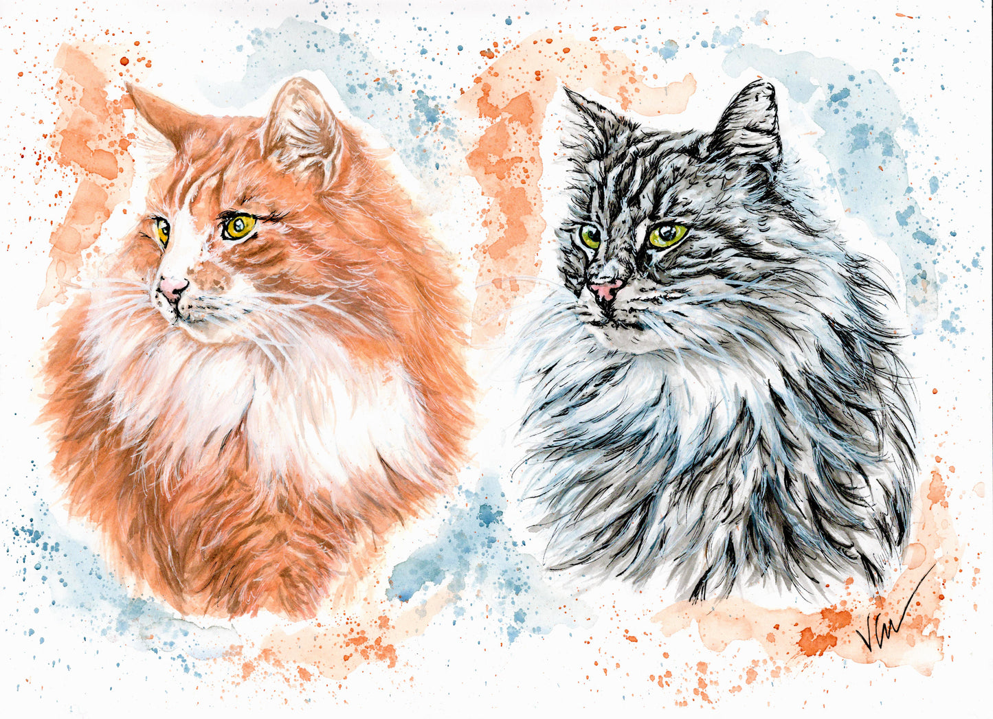 Pet Portraits