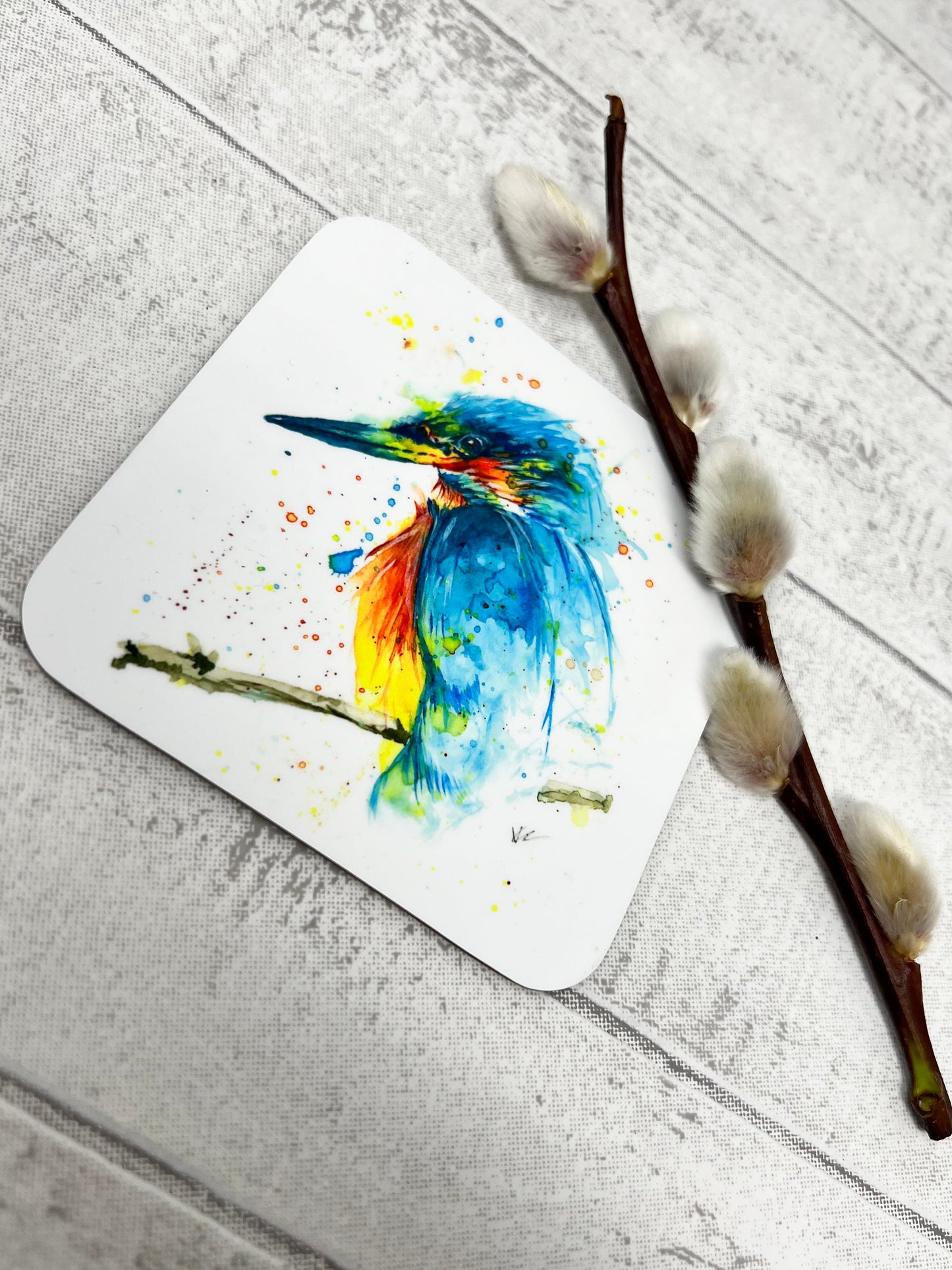 Fraser the Kingfisher Coaster