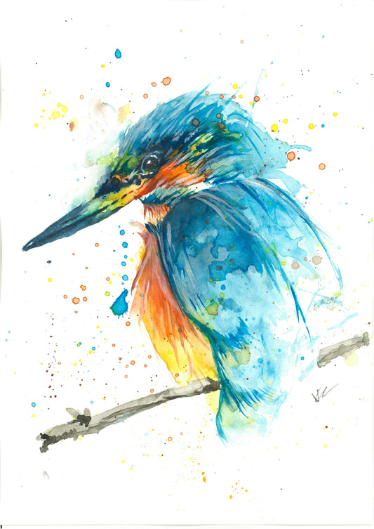 Fraser the Kingfisher Print