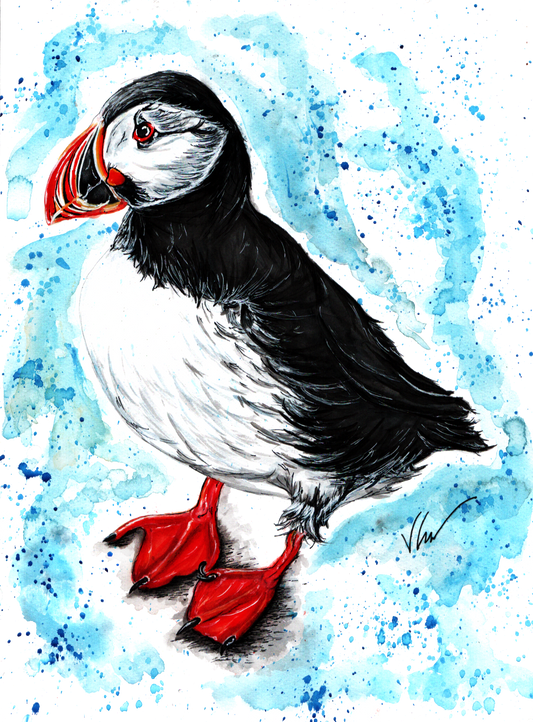 Piper the Puffin Print