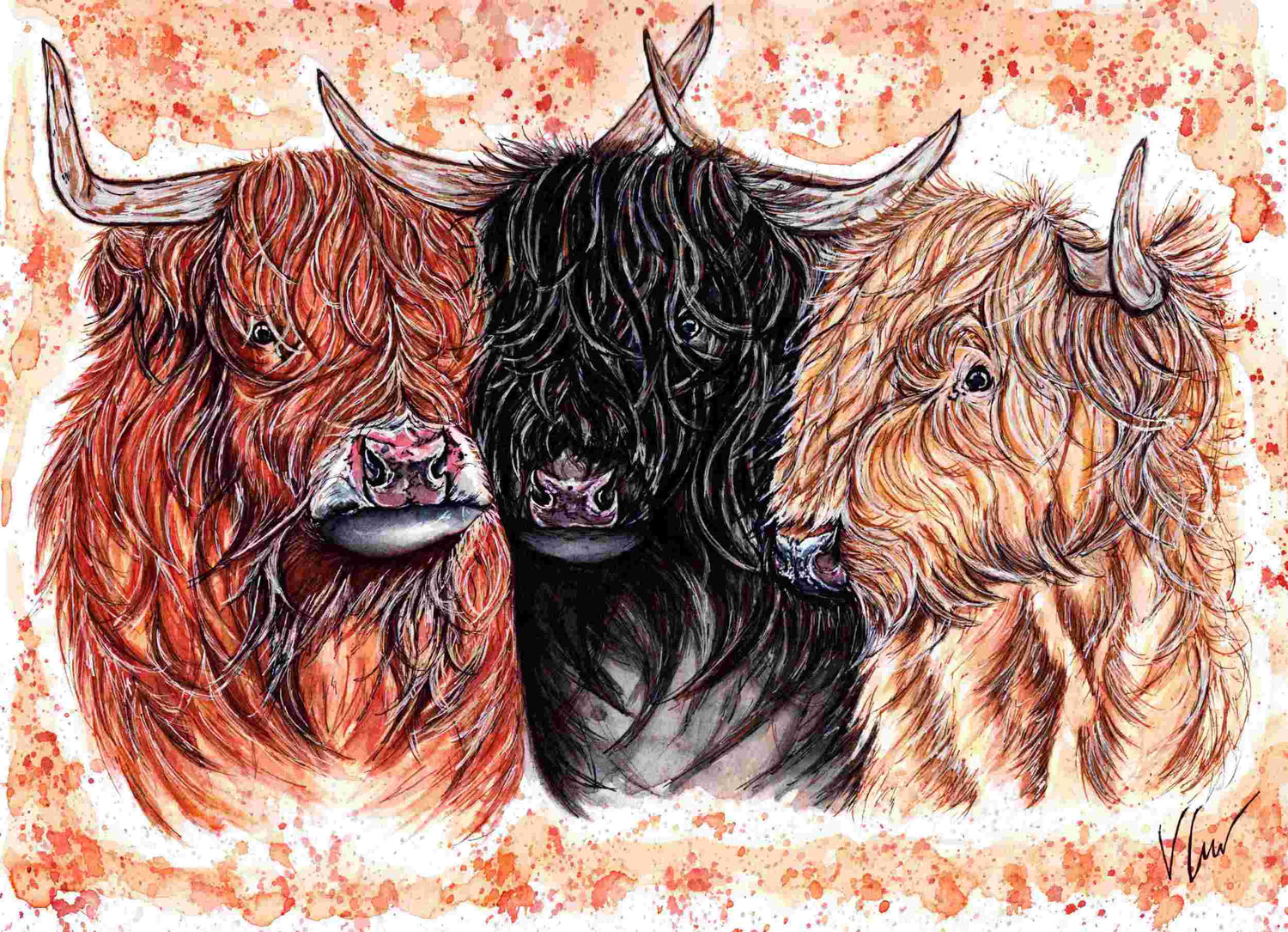 The Clan Highland Cows