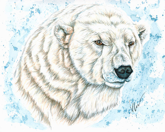 Walker the Polar Bear Print